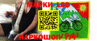 гашик Новозыбков