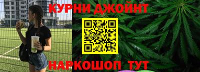 гашик Новозыбков