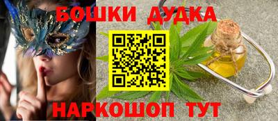 гашик Новозыбков