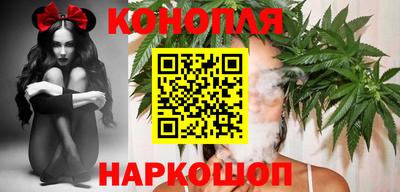 прущие грибы Новокубанск