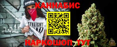 гашик Новозыбков