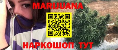 гашик Новозыбков