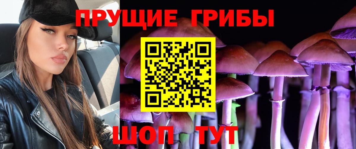 Псилоцибиновые грибы мухоморы Топки
