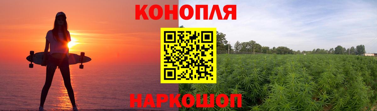 Бошки Шишки MAZAR Топки